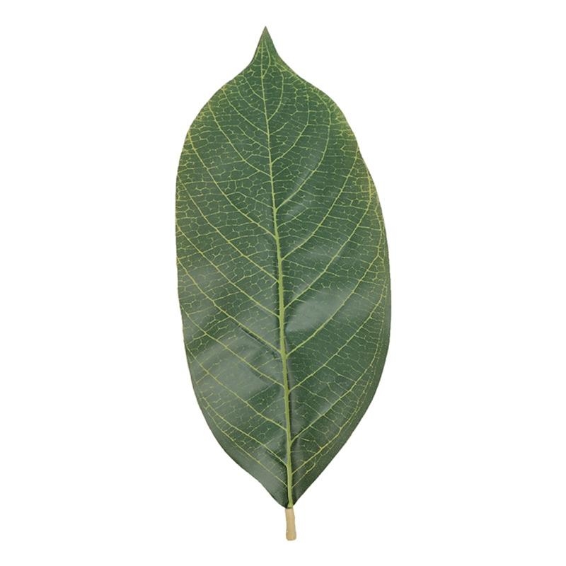 Home Decor Catalog - Feuilles Magnolia vertes artificielles, lot 50,