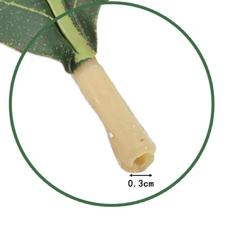 Feuilles Magnolia vertes artif - Home Decor Catalog avis et prix