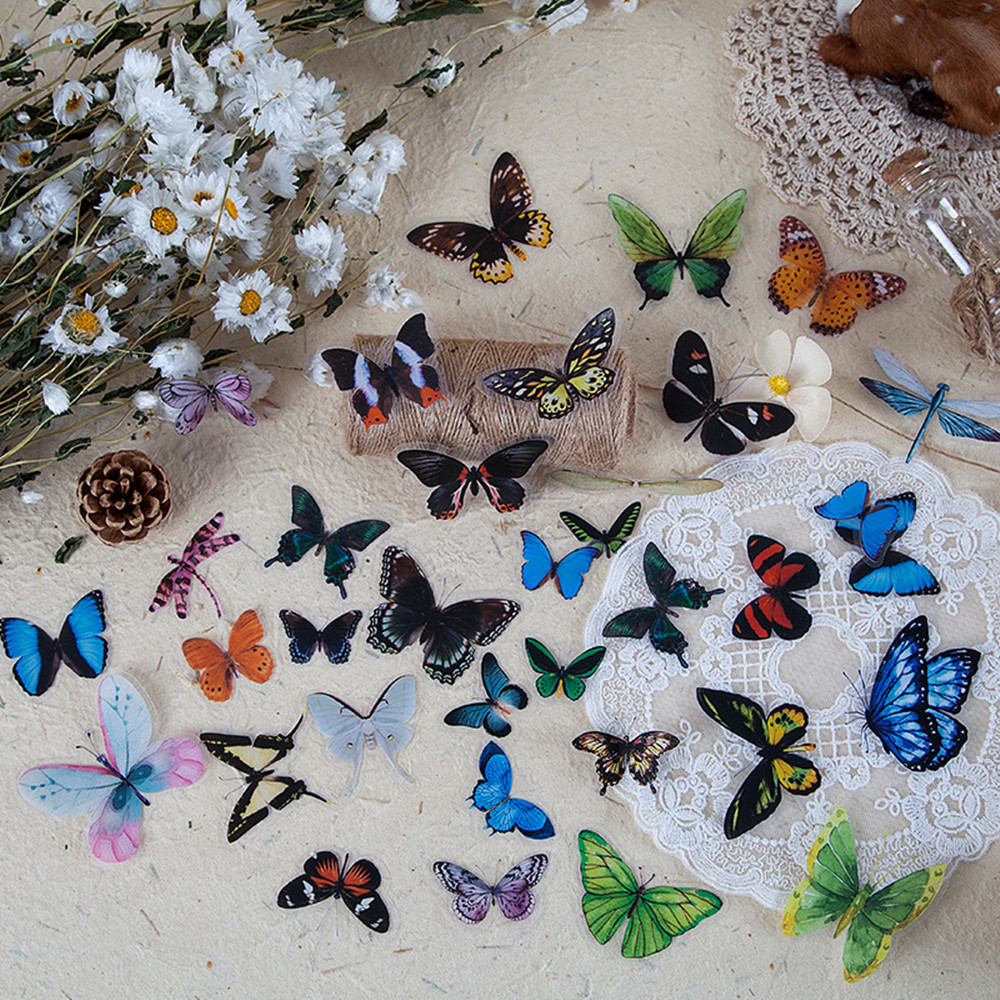 Autocollants papillon en PET,  - Home Decor Catalog avis et prix
